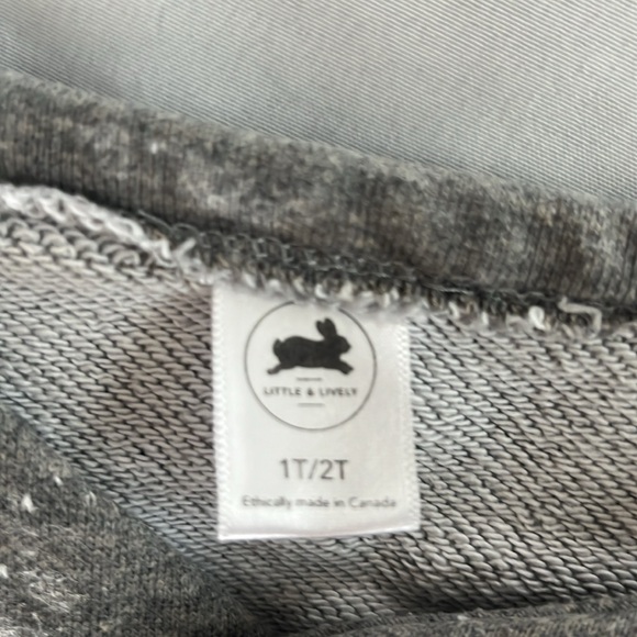 Little & Lively 1-2T Set - Picture 3 of 7